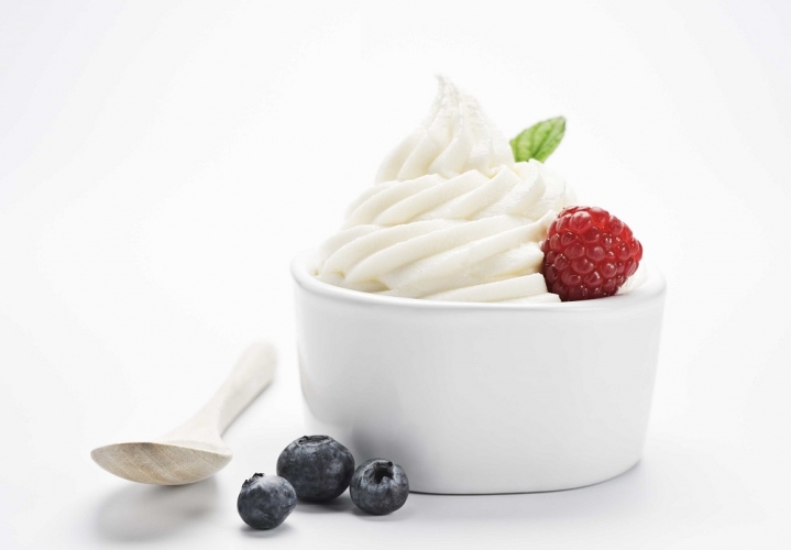 Soft & Frozen Yogurt Machine Model 603 Soft & Shake